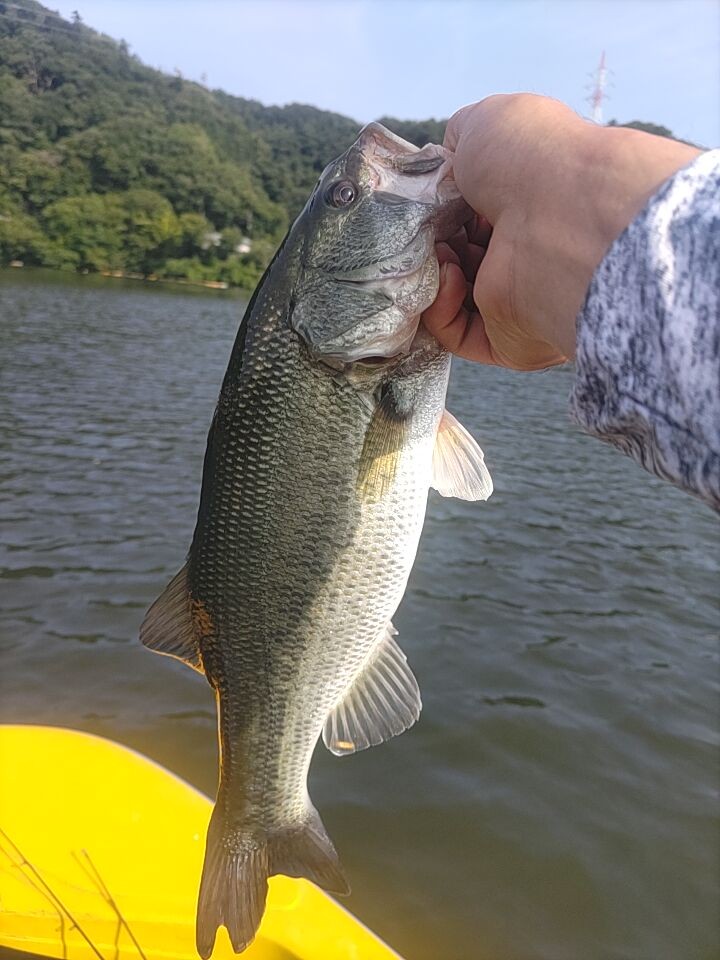 釣果写真2