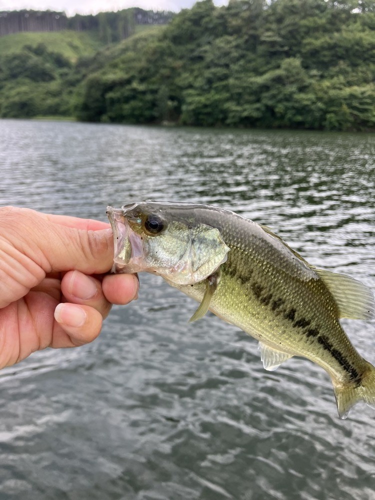 釣果写真1
