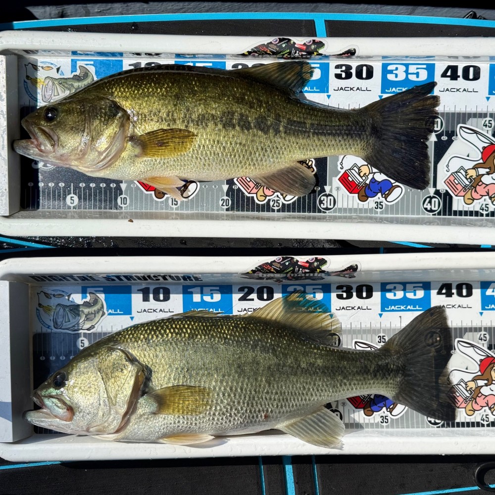 釣果写真2