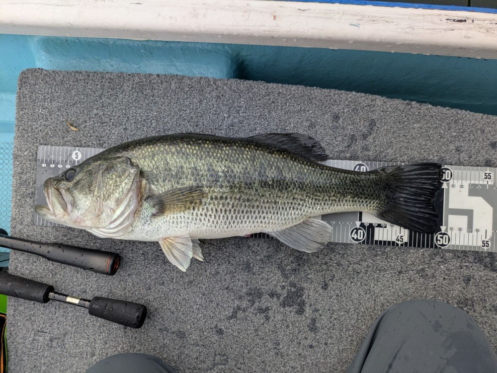 釣果写真2