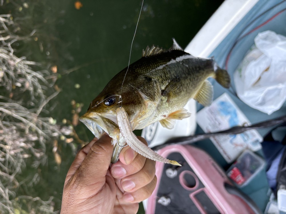 釣果写真3