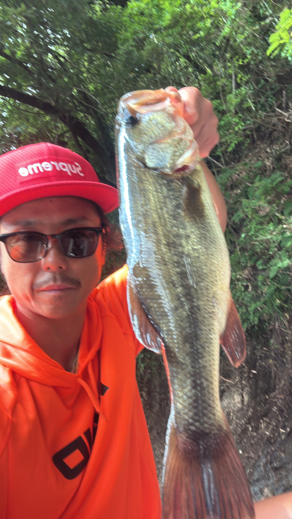 釣果写真1