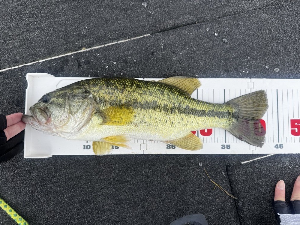 釣果写真1