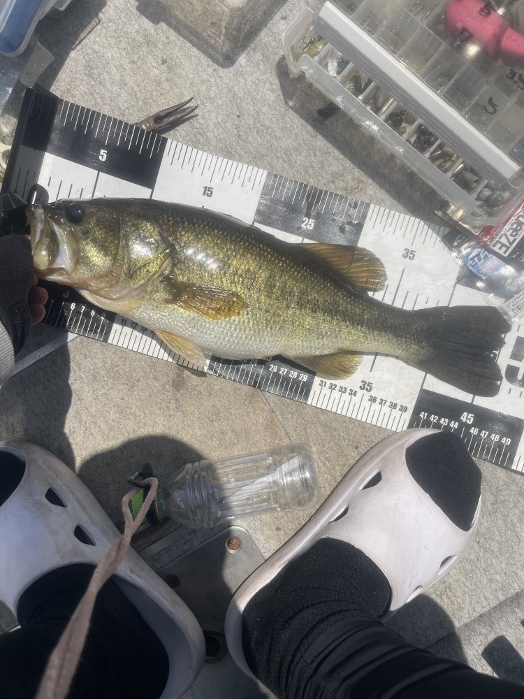 釣果写真3