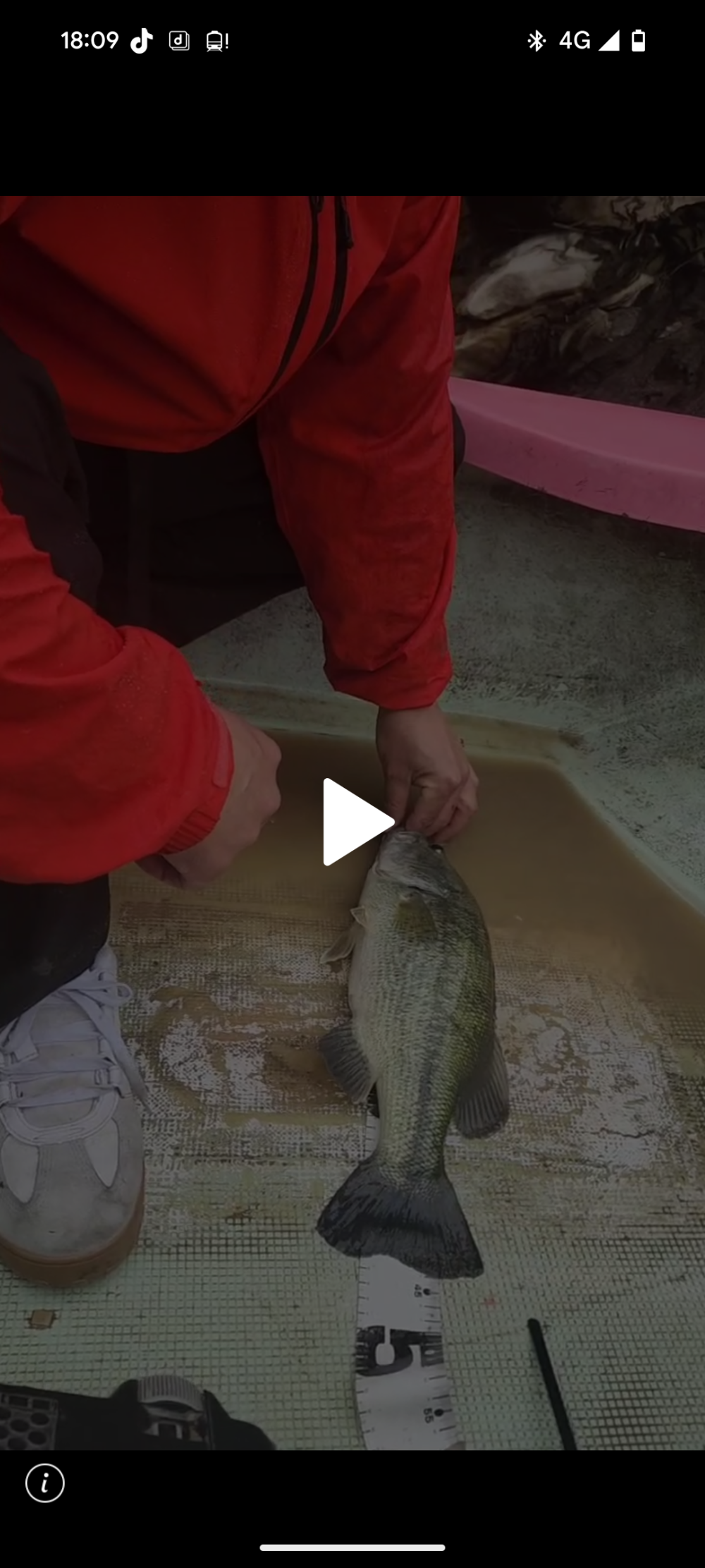釣果写真2