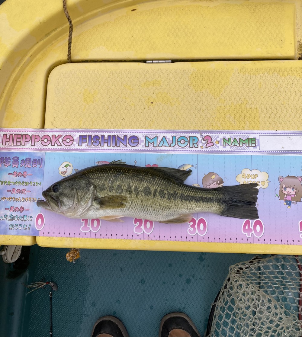 釣果写真4