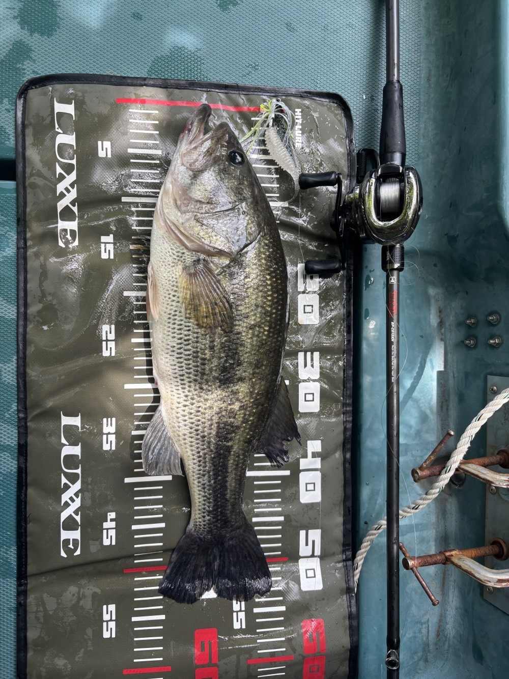釣果写真2