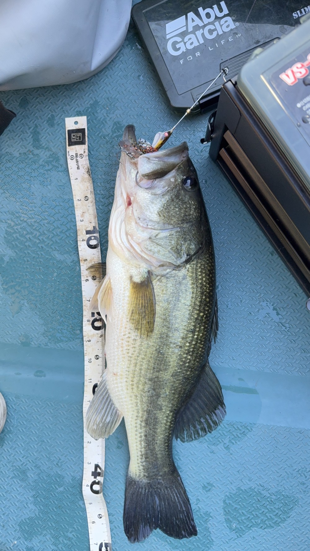 釣果写真2
