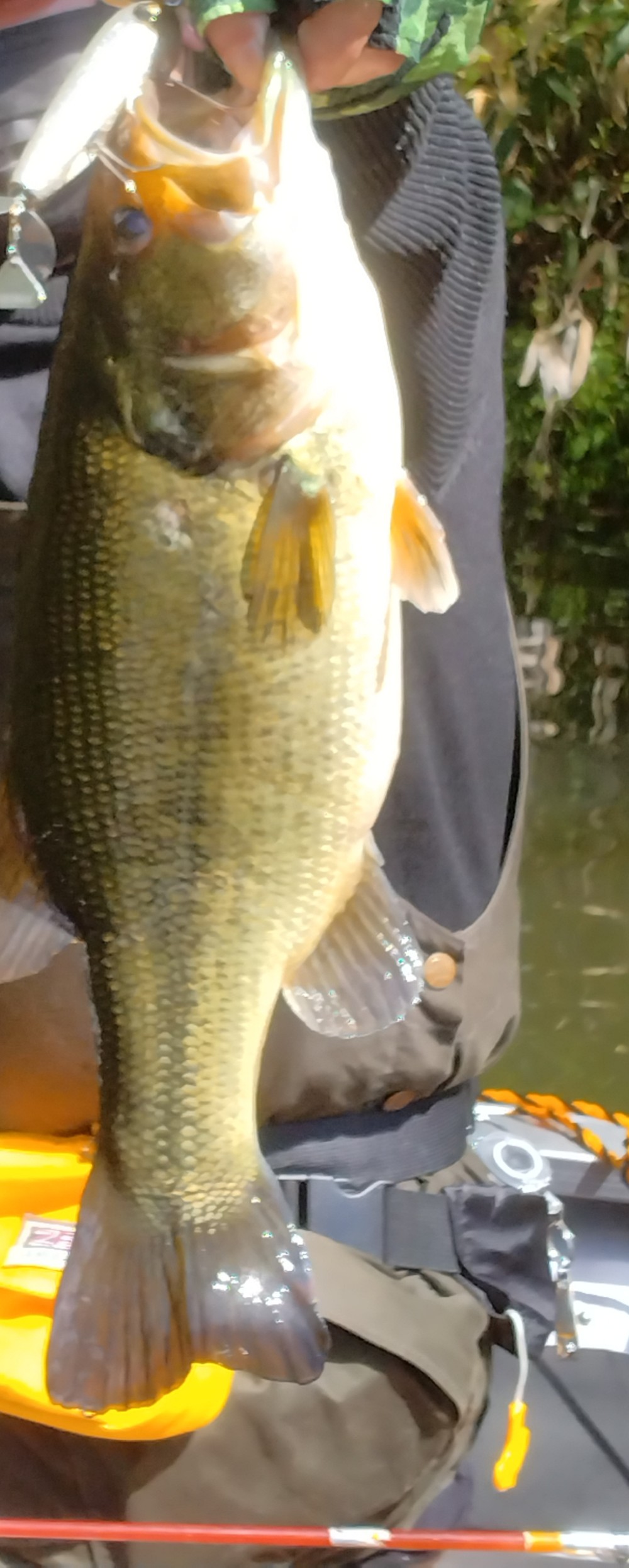 釣果写真2