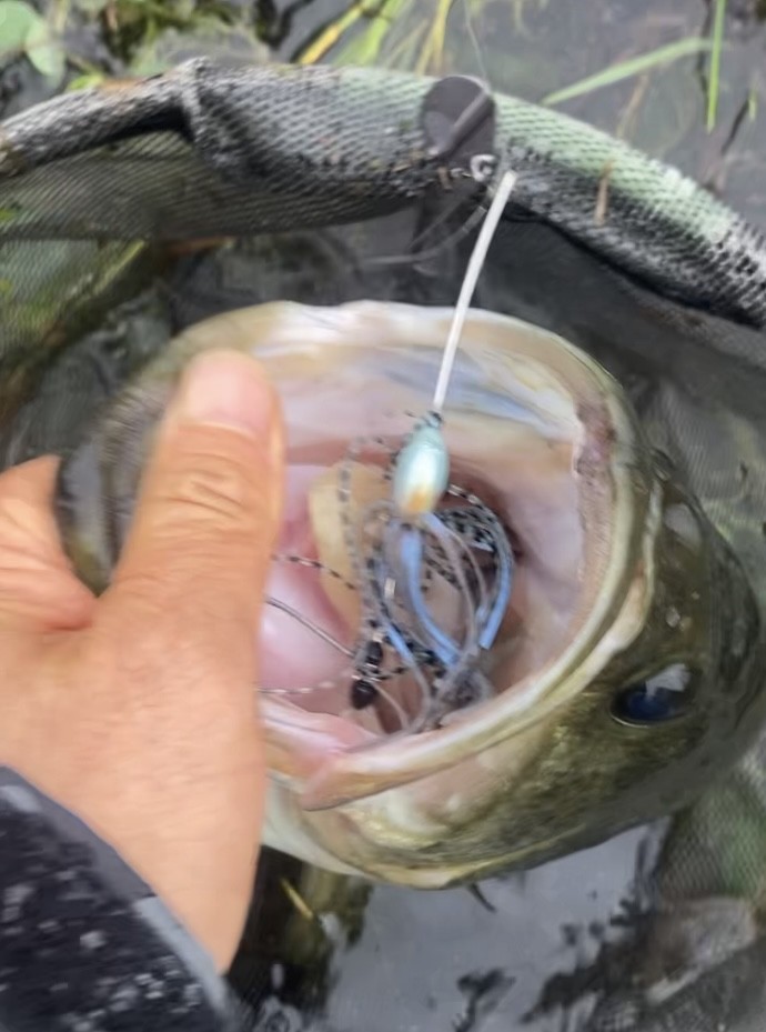 釣果写真4