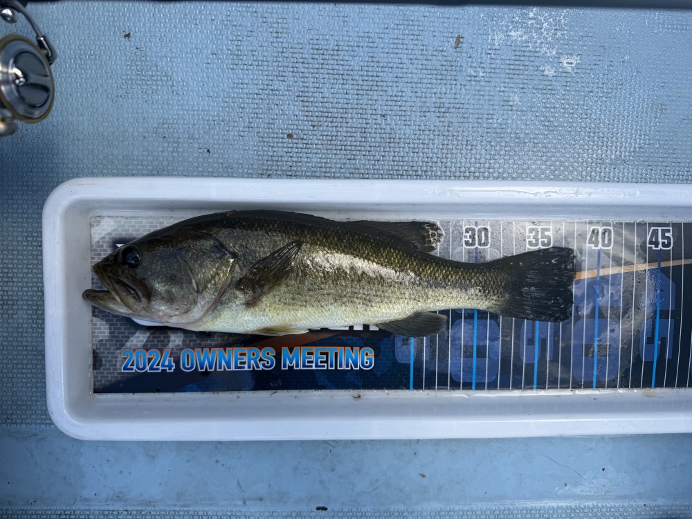 釣果写真1