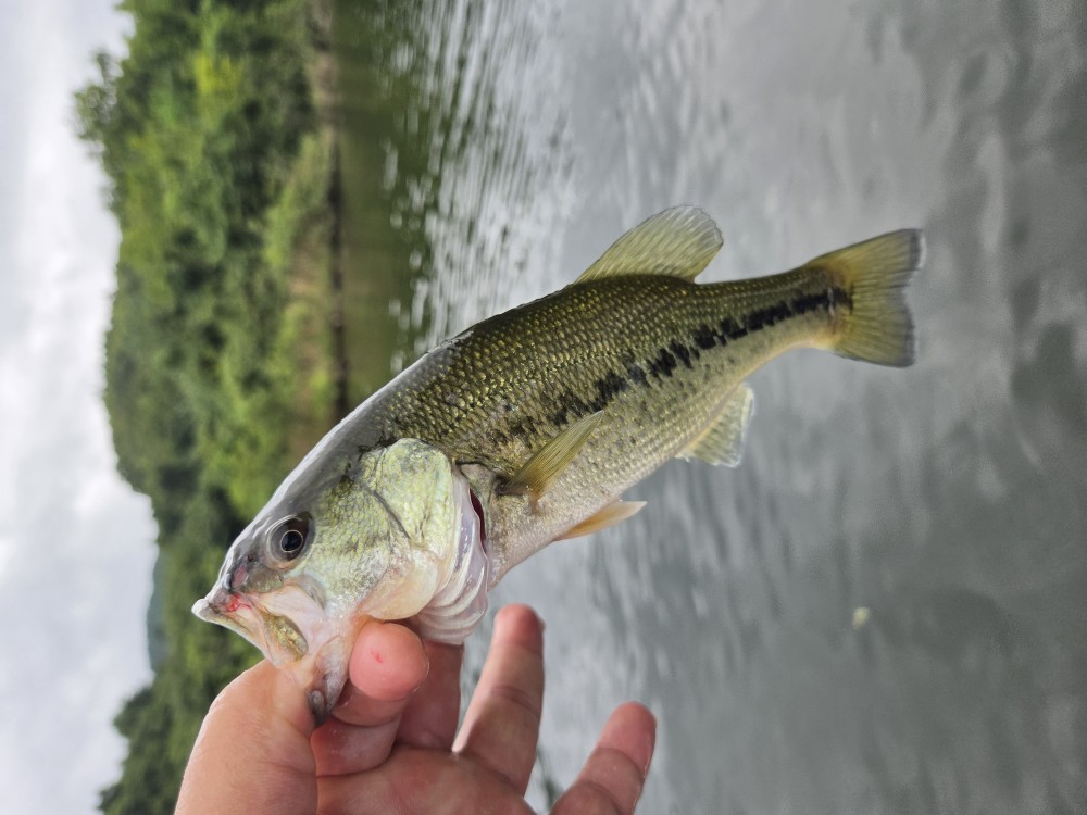釣果写真1