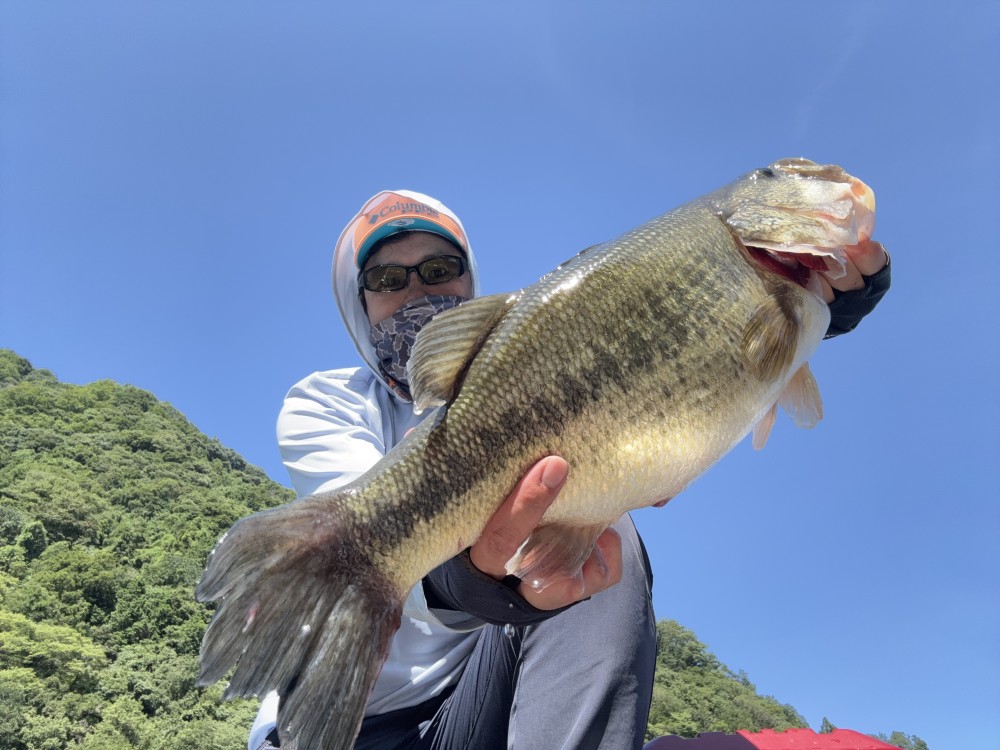 ブラックバスの釣果写真