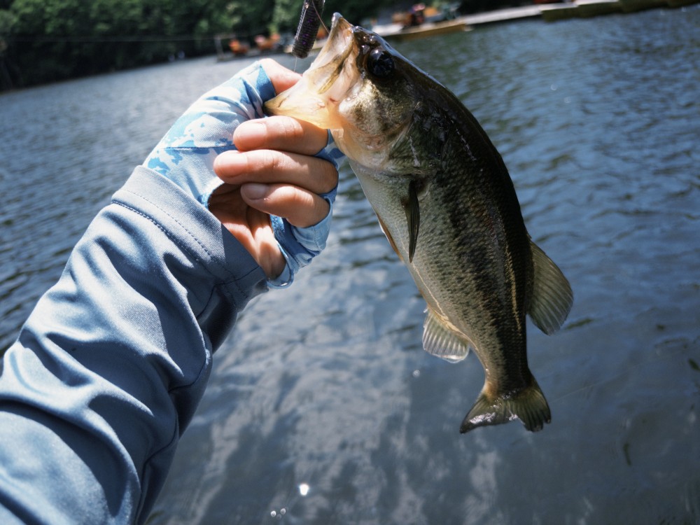 釣果写真2
