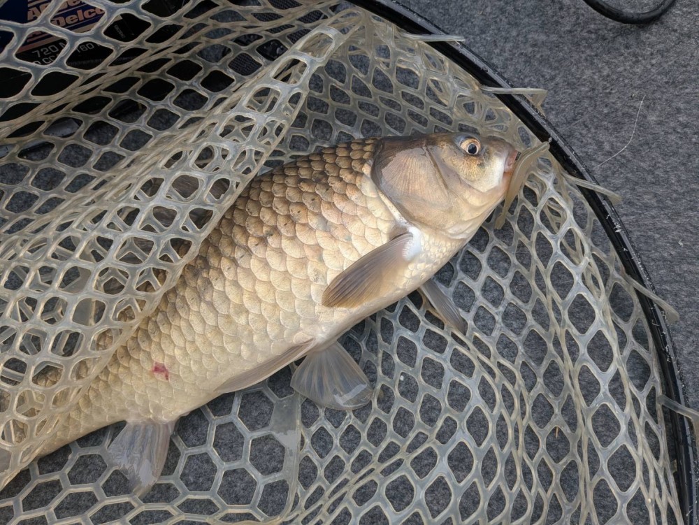 釣果写真5