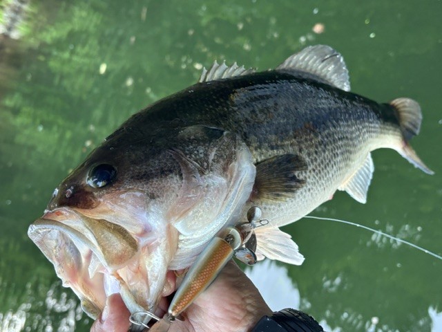 釣果写真2