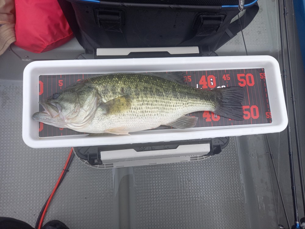 釣果写真3