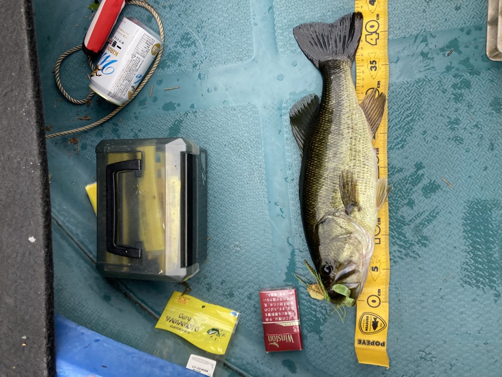 釣果写真2
