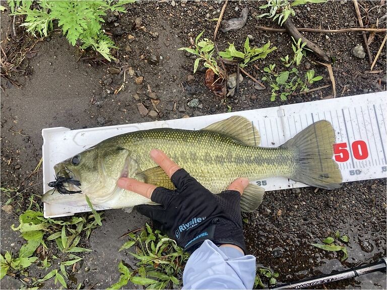 釣果写真2