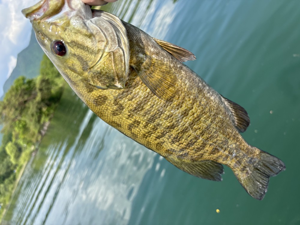 釣果写真3