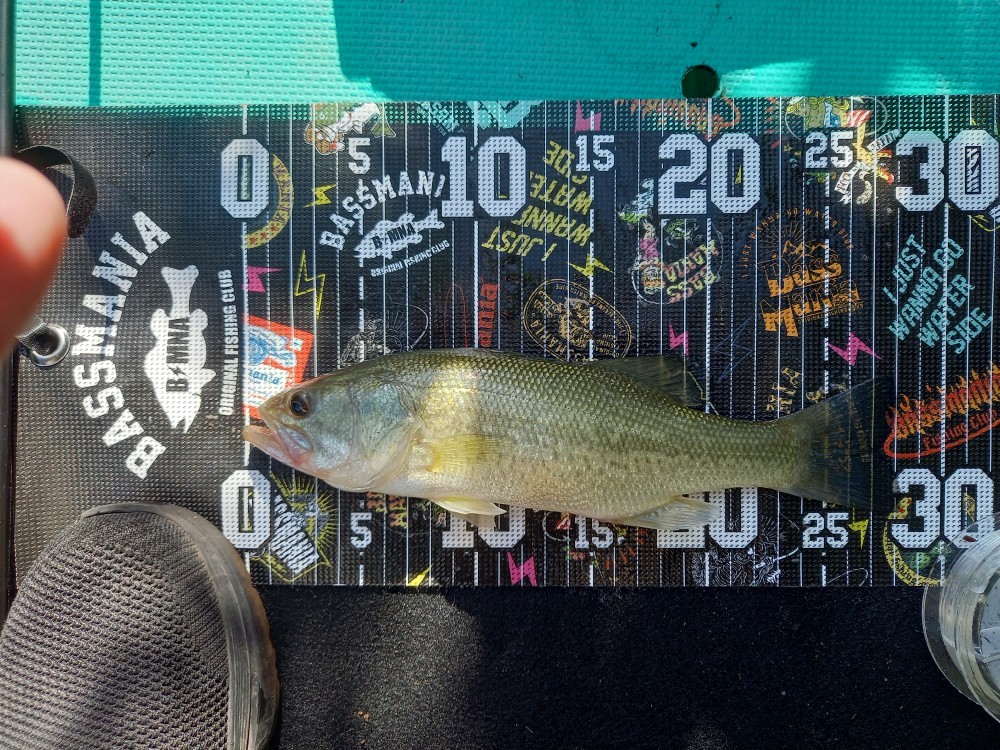 釣果写真2