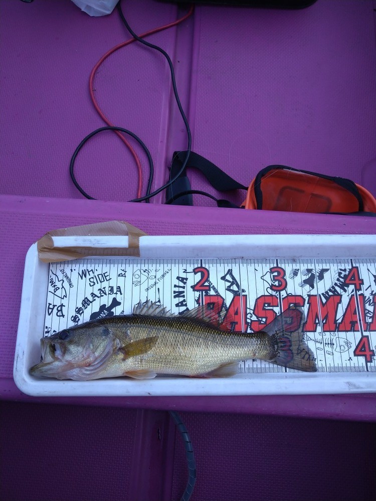 釣果写真5
