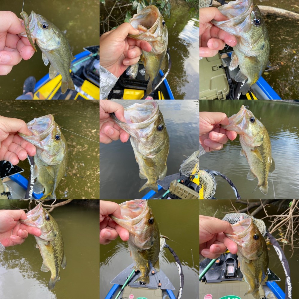 釣果写真3