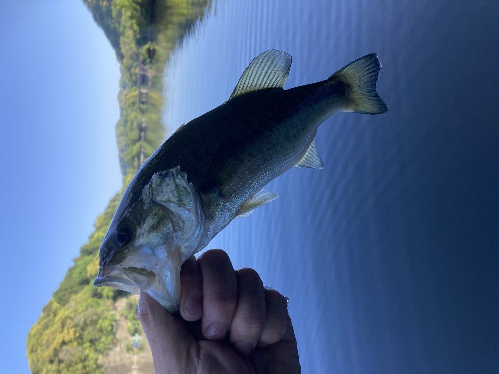 釣果写真2