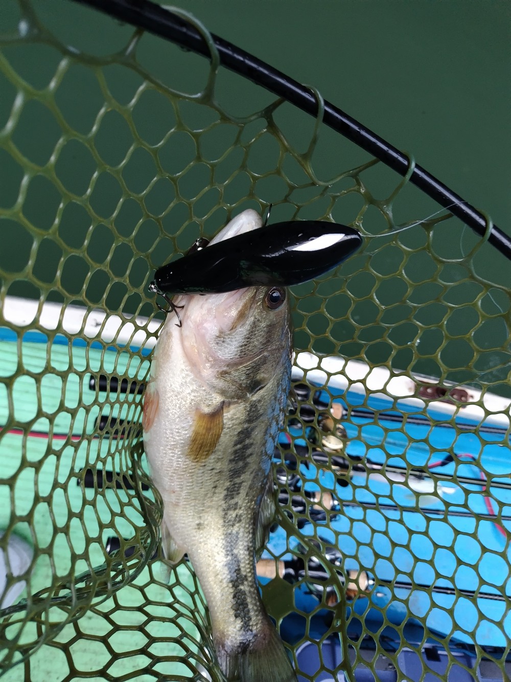 釣果写真2
