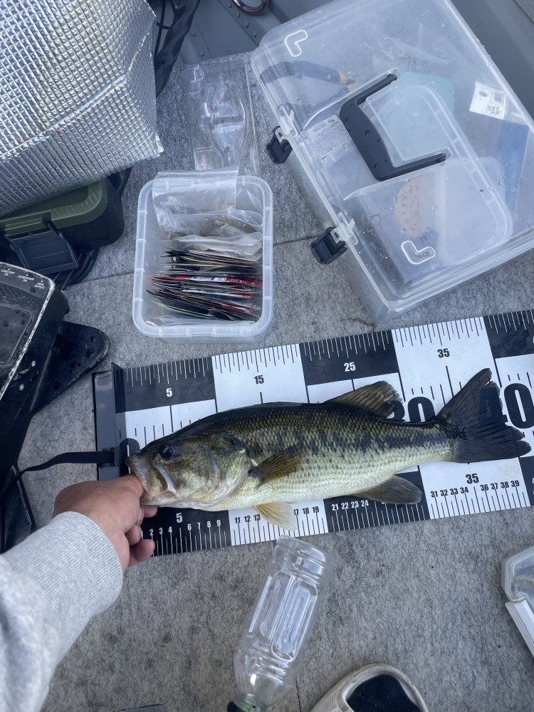 釣果写真2