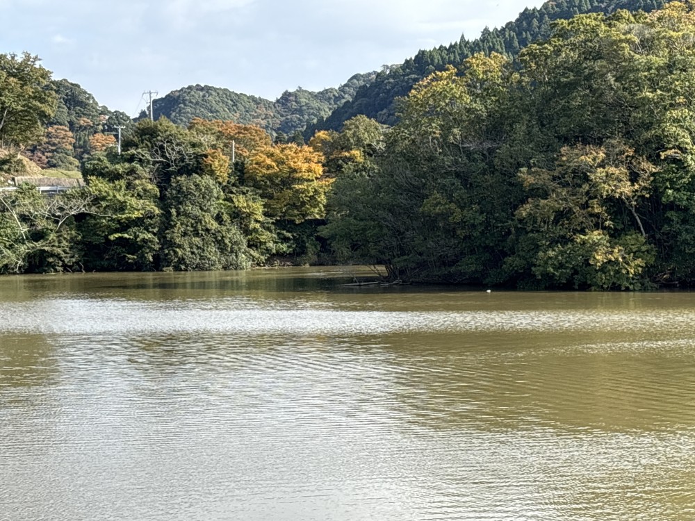 戸面原ダムボートセンター ダム減水について 放水開始11月18日(火)から