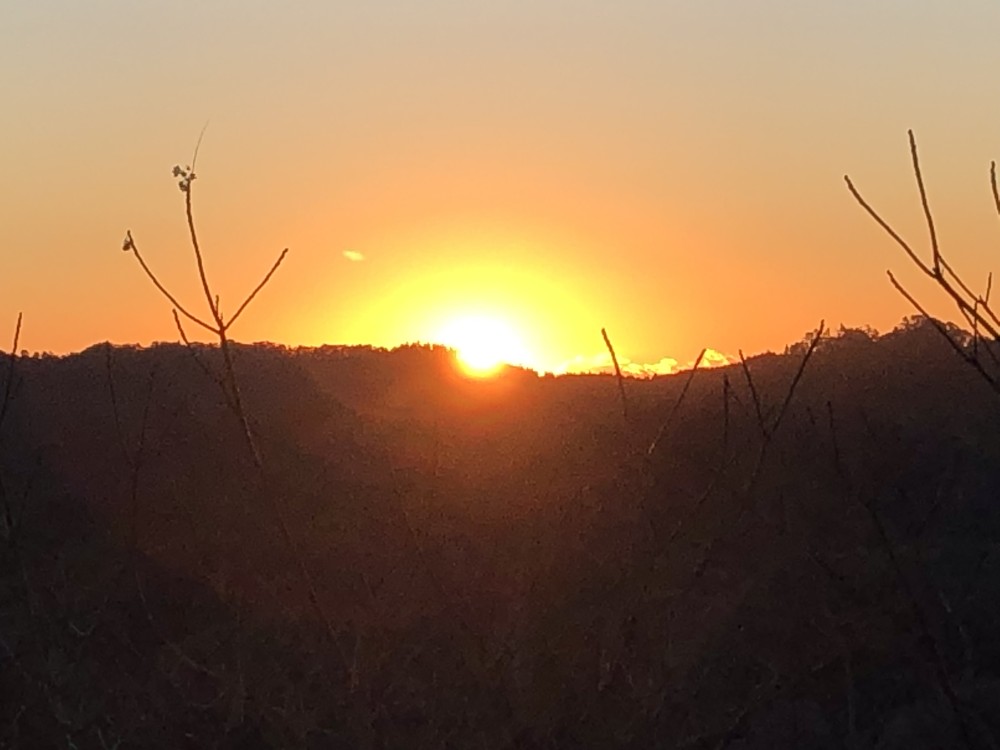 戸面原ダムボートセンター 新年のご挨拶