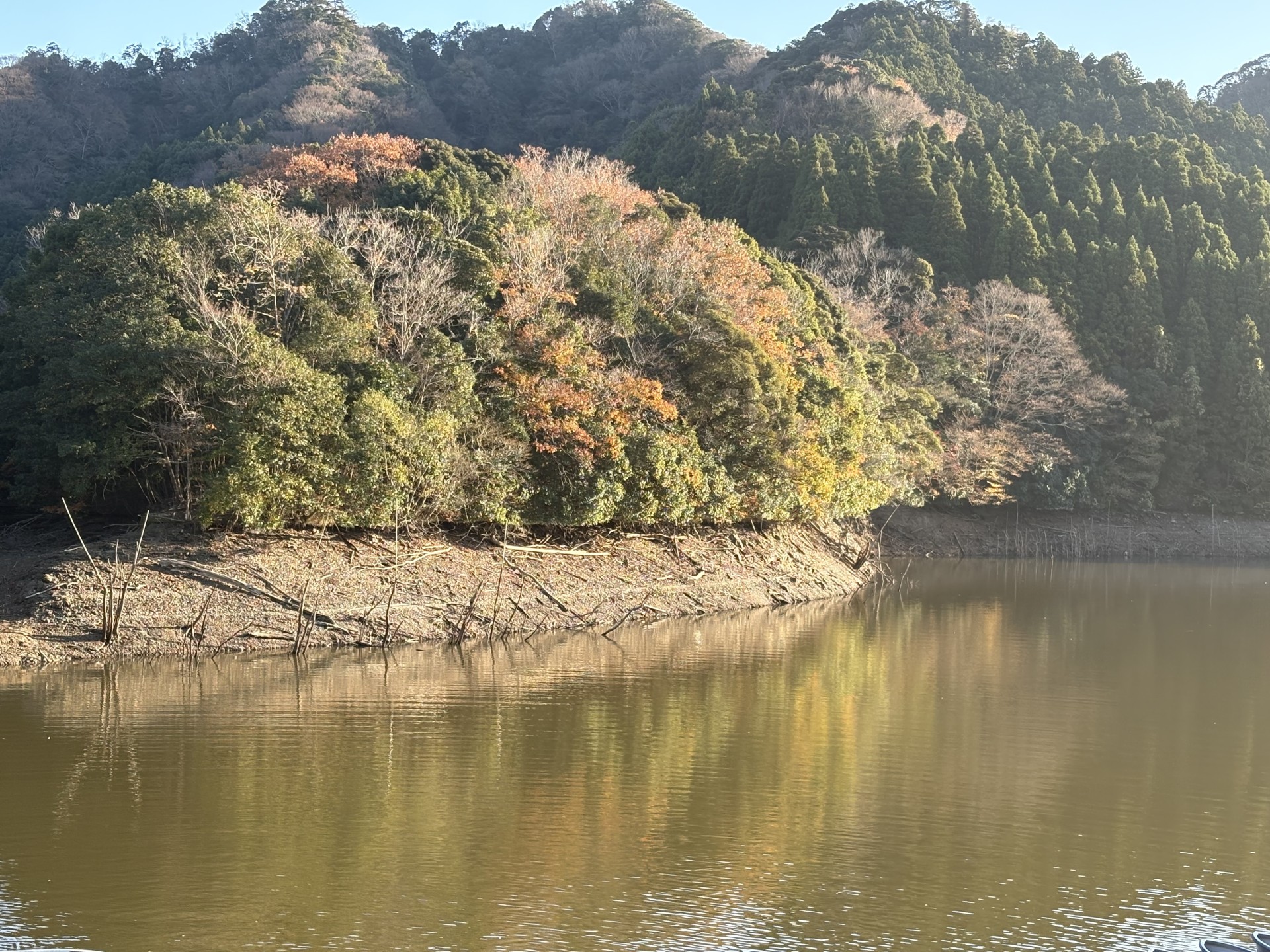 戸面原ダム 戸面原ダムボートセンターの2025年12月7日のイメージ