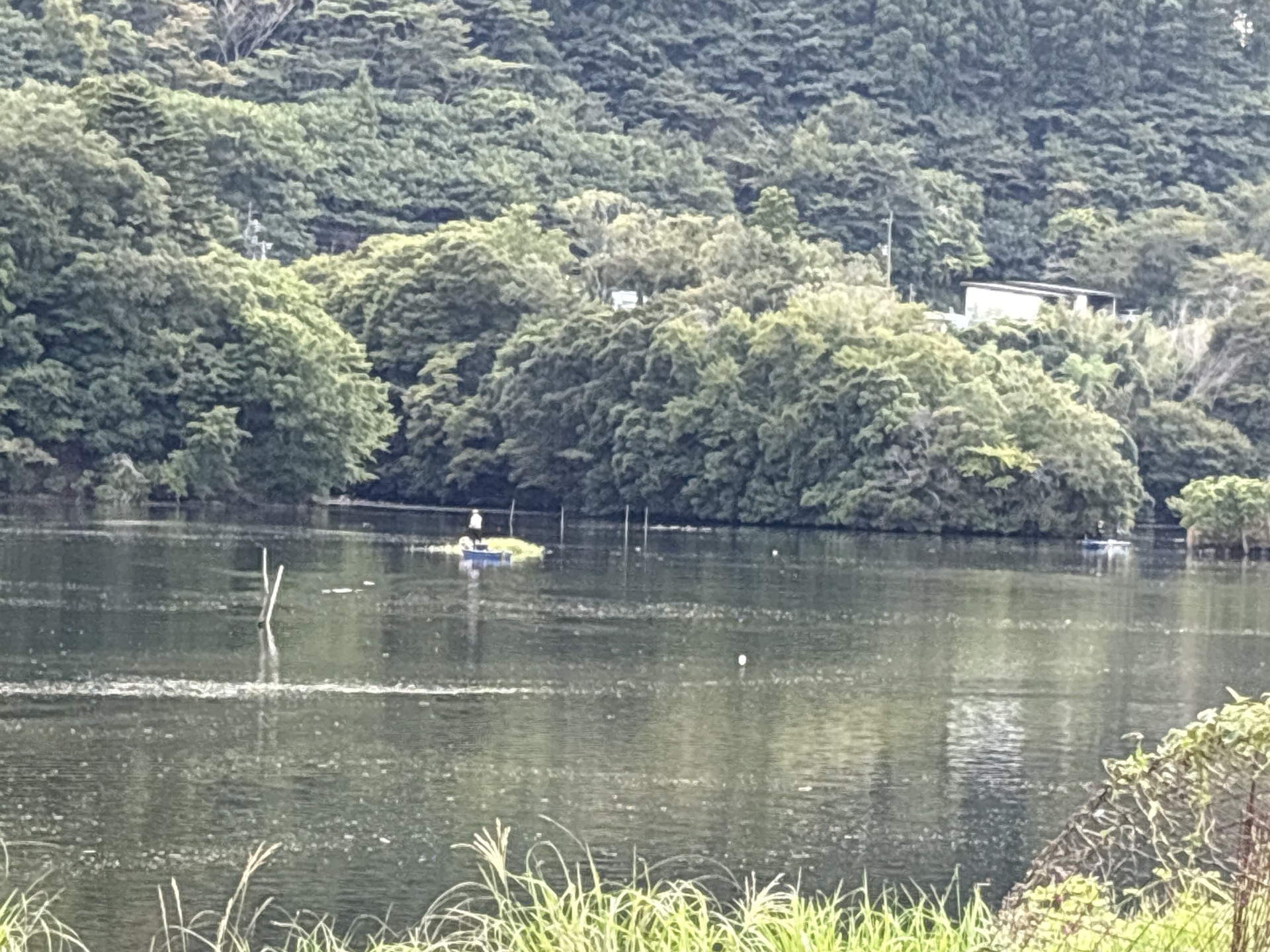 戸面原ダム 戸面原ダムボートセンターの2025年9月15日のイメージ