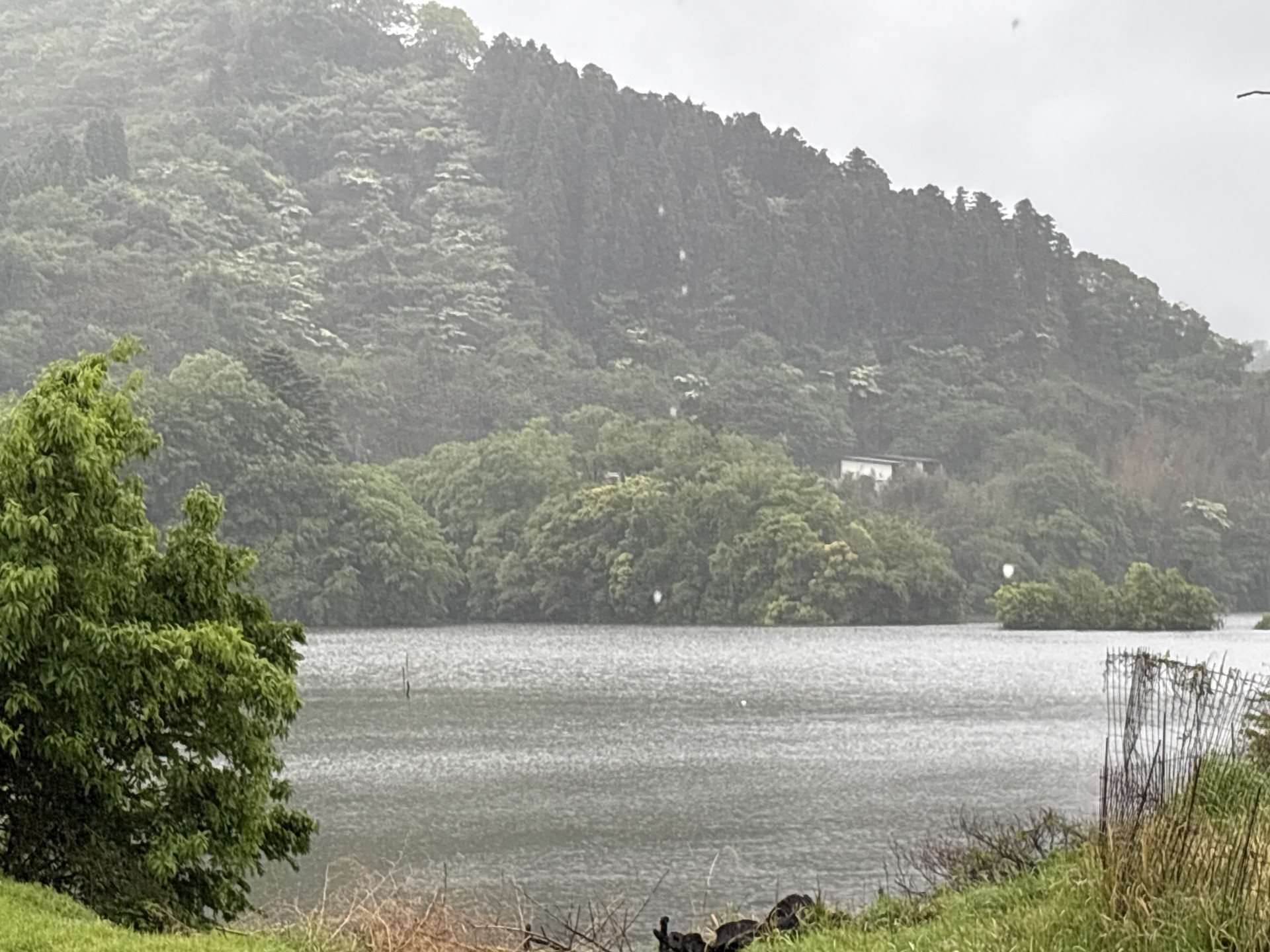 戸面原ダム 戸面原ダムボートセンターの2025年5月6日のイメージ