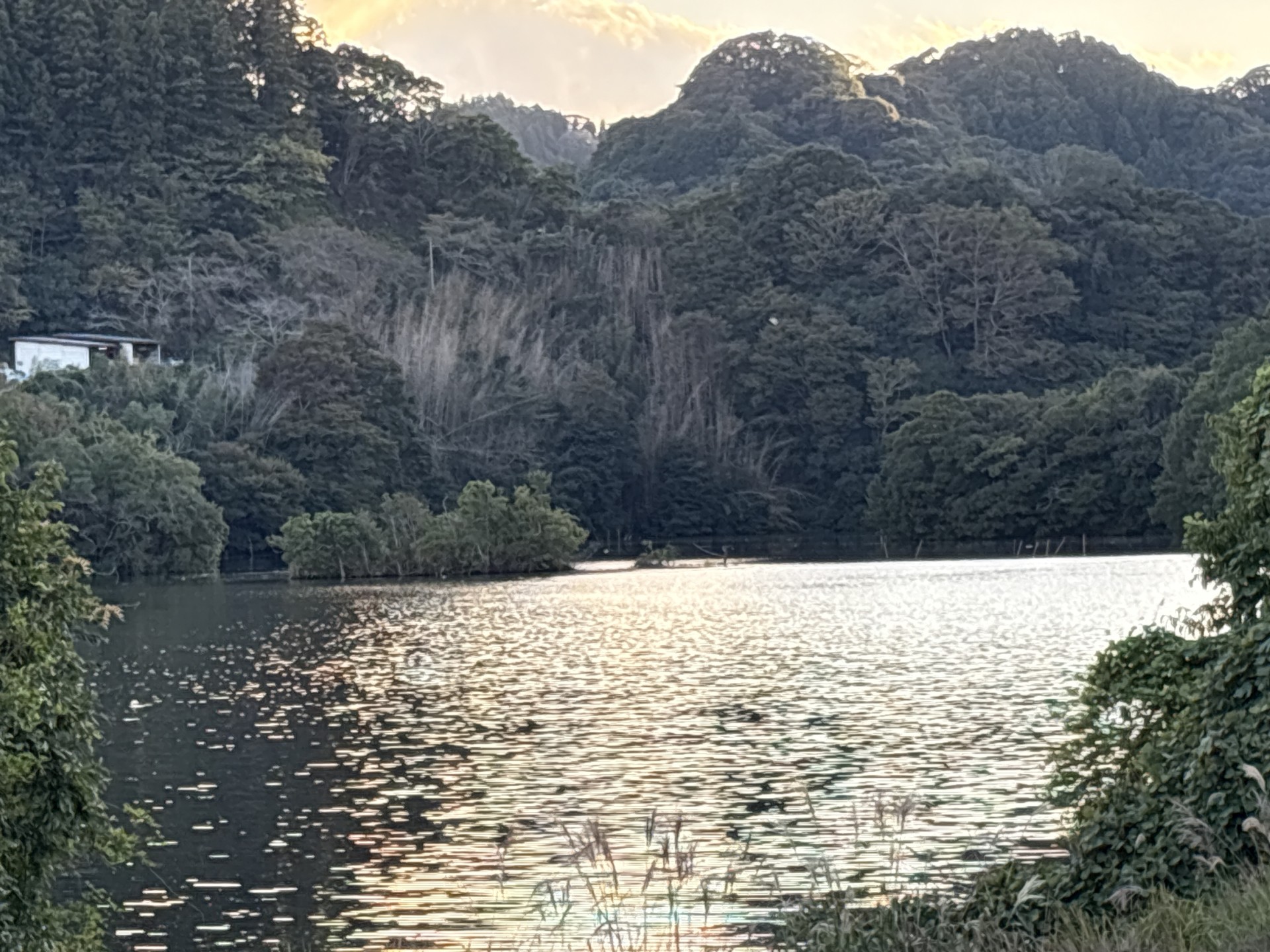 戸面原ダム 戸面原ダムボートセンターの2025年10月27日のイメージ