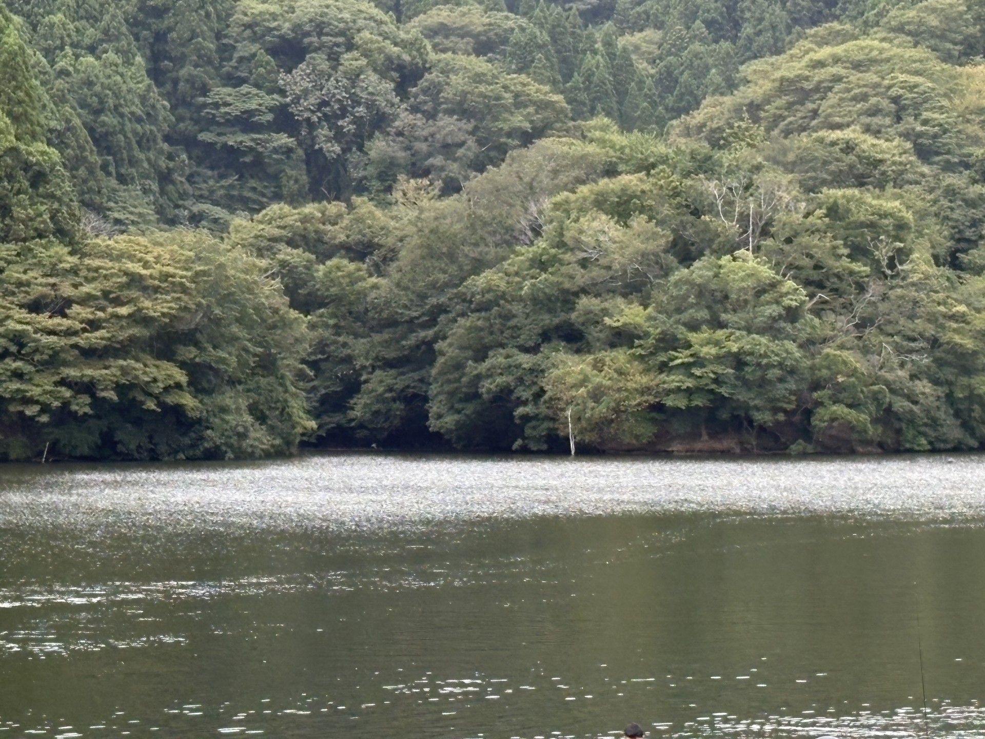 戸面原ダム 戸面原ダムボートセンターの2025年10月7日のイメージ