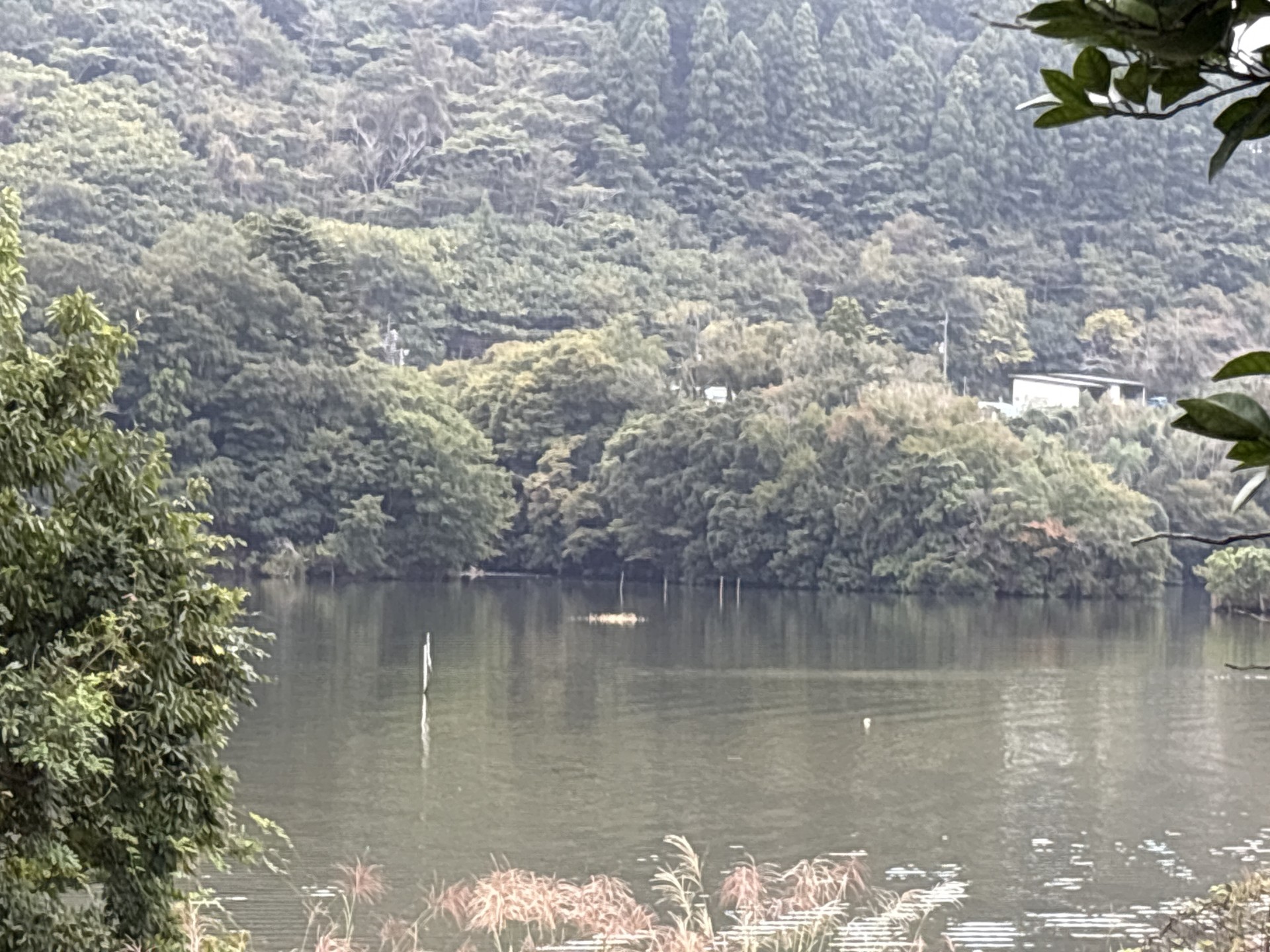 戸面原ダム 戸面原ダムボートセンターの2025年10月12日のイメージ