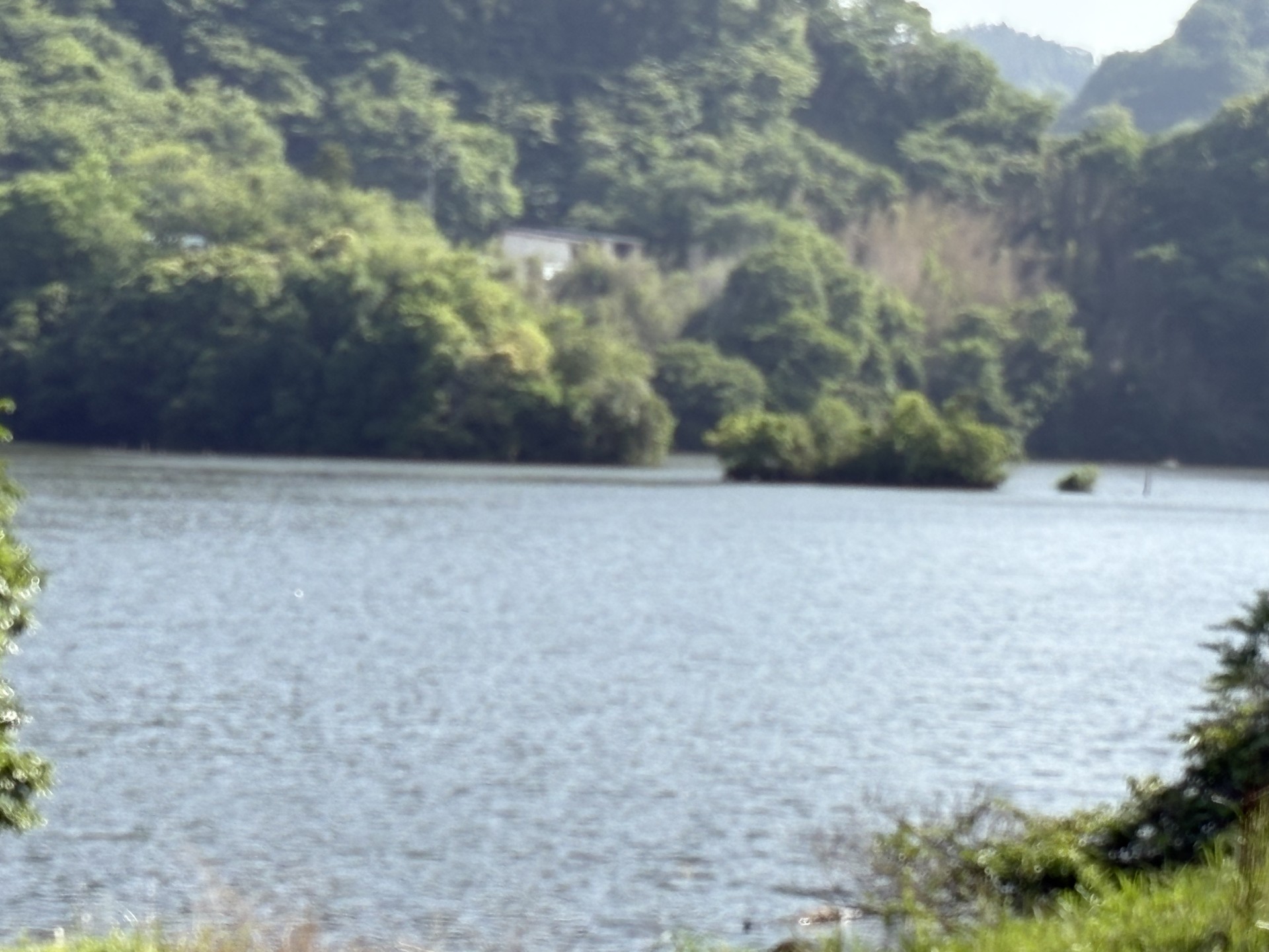 戸面原ダム 戸面原ダムボートセンターの2025年5月20日のイメージ