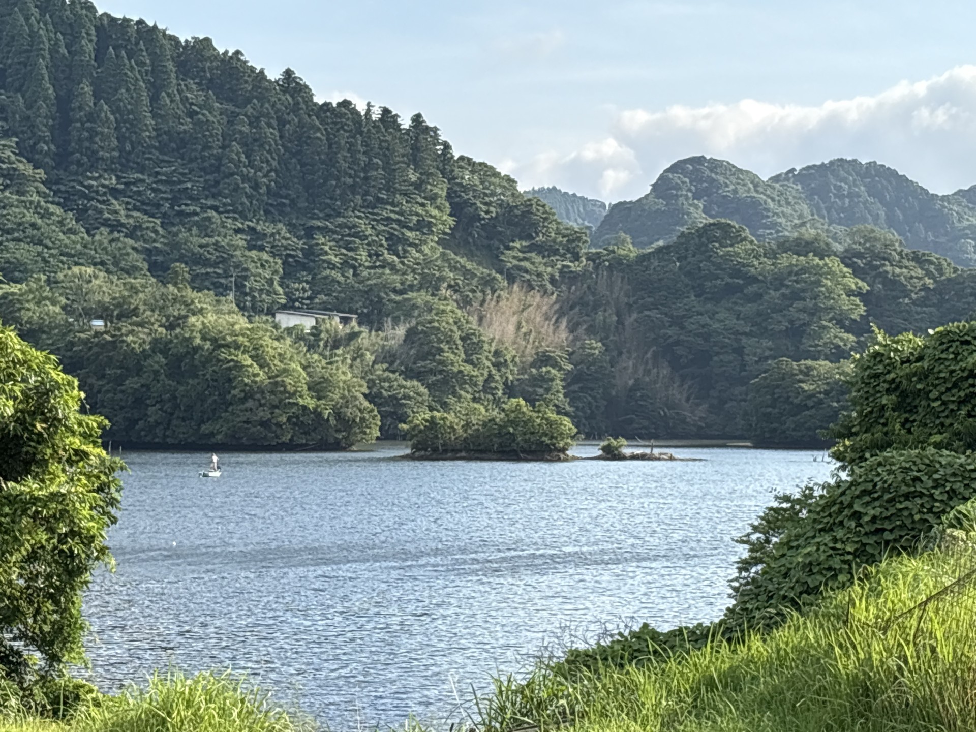 戸面原ダム 戸面原ダムボートセンターの2025年6月30日のイメージ