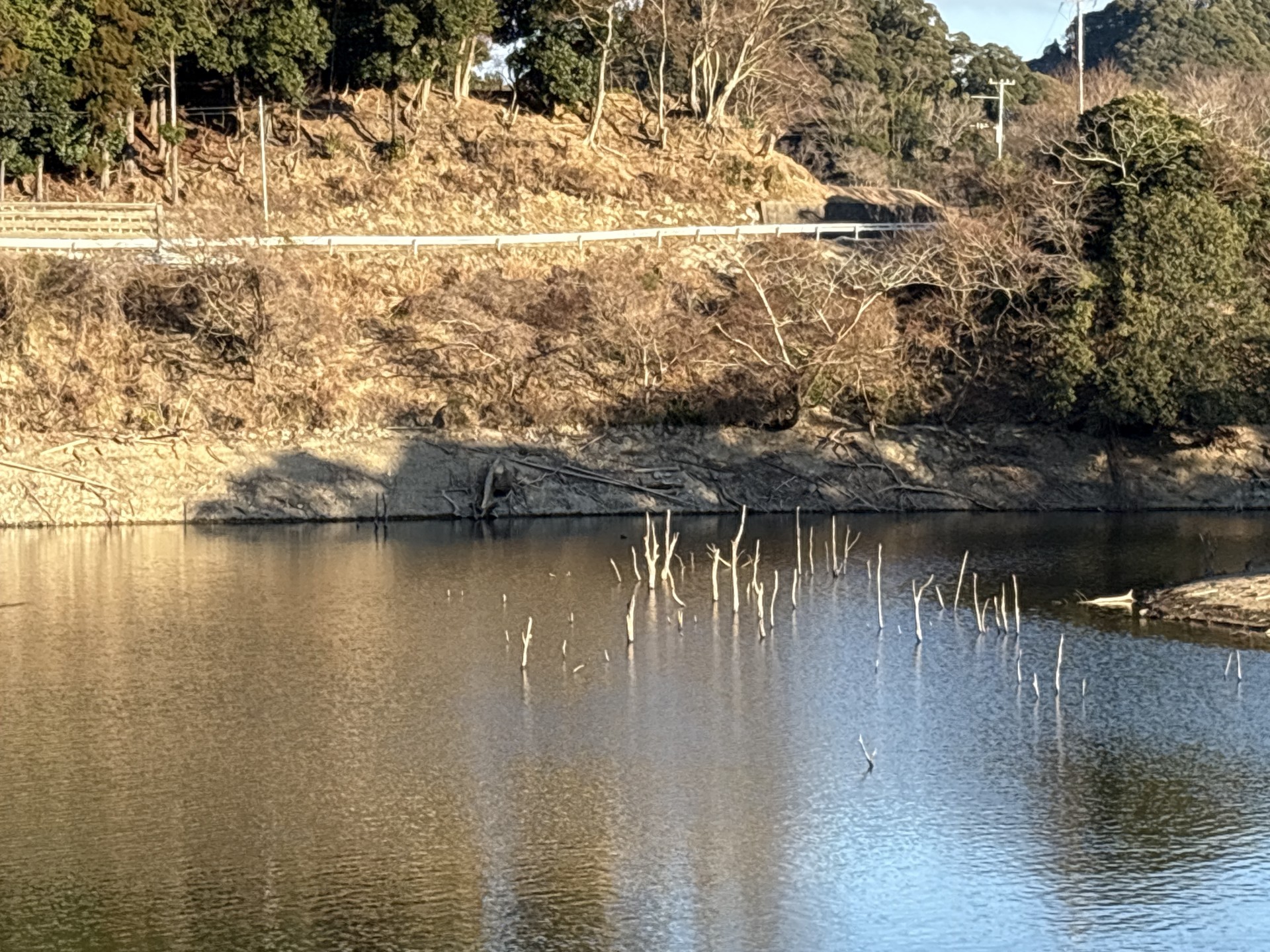 戸面原ダム 戸面原ダムボートセンターの2026年2月2日のイメージ