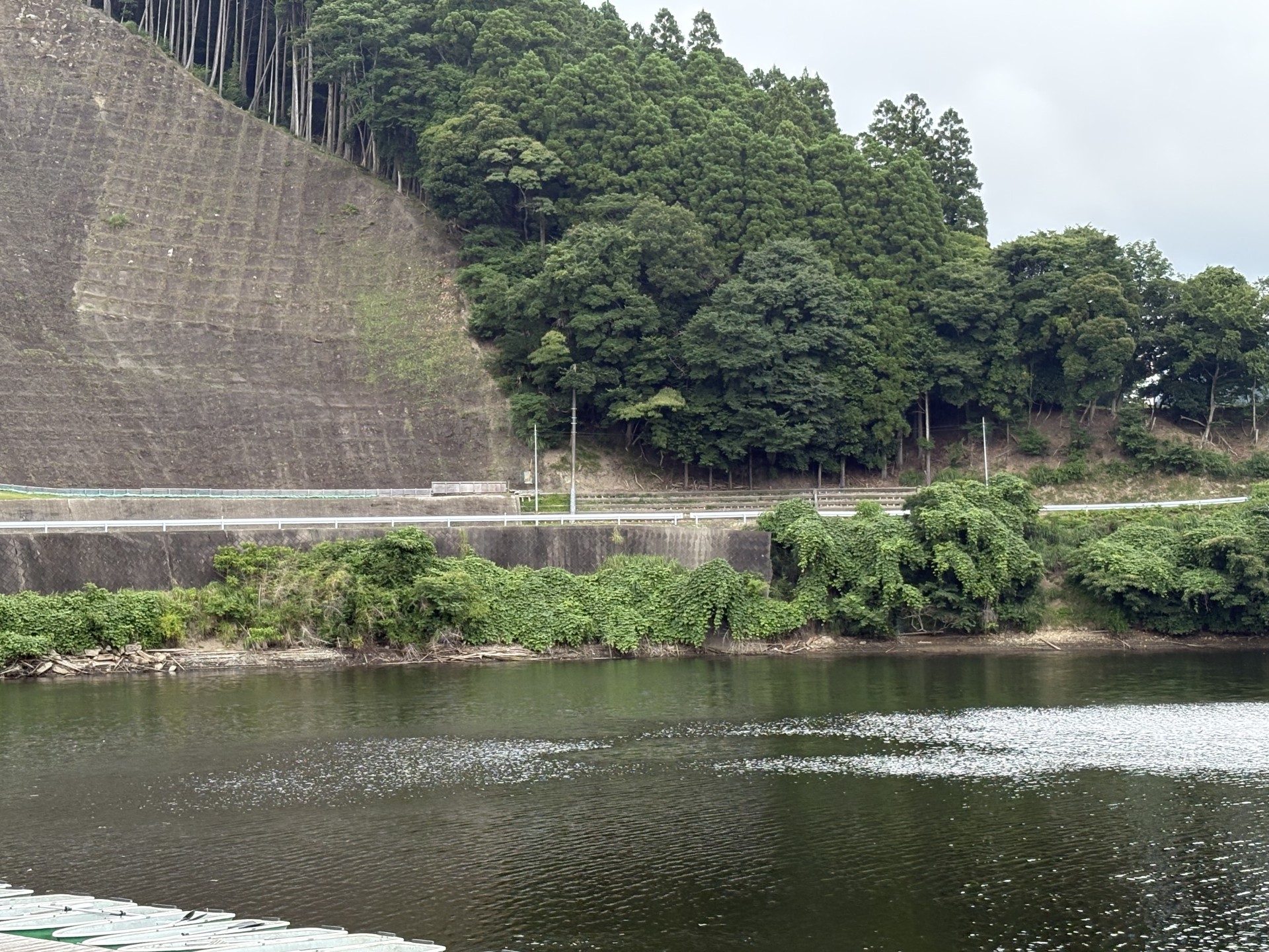 戸面原ダム 戸面原ダムボートセンターの2025年7月2日のイメージ