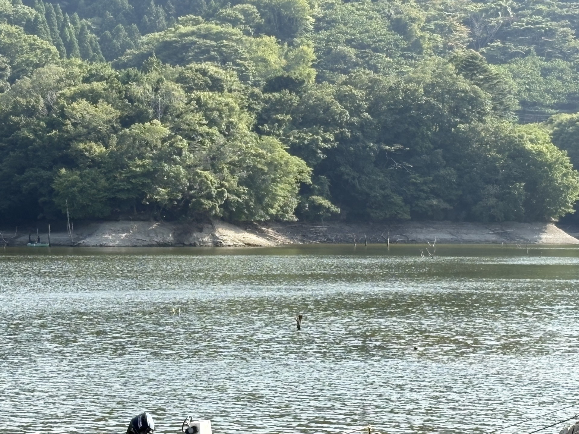 戸面原ダム 戸面原ダムボートセンターの2025年8月27日のイメージ