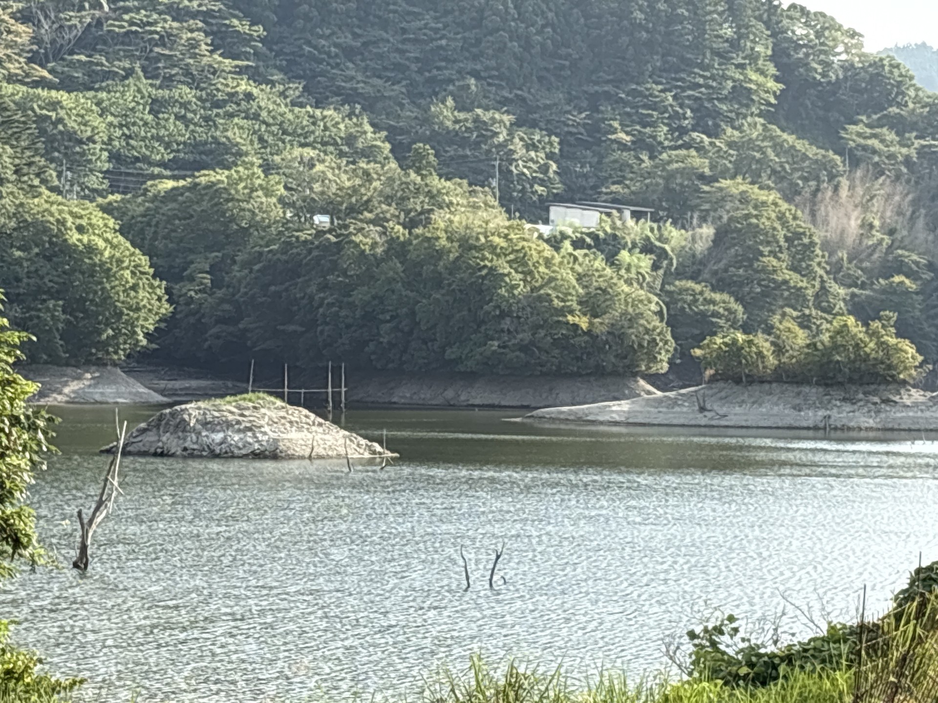 戸面原ダム 戸面原ダムボートセンターの2025年8月29日のイメージ