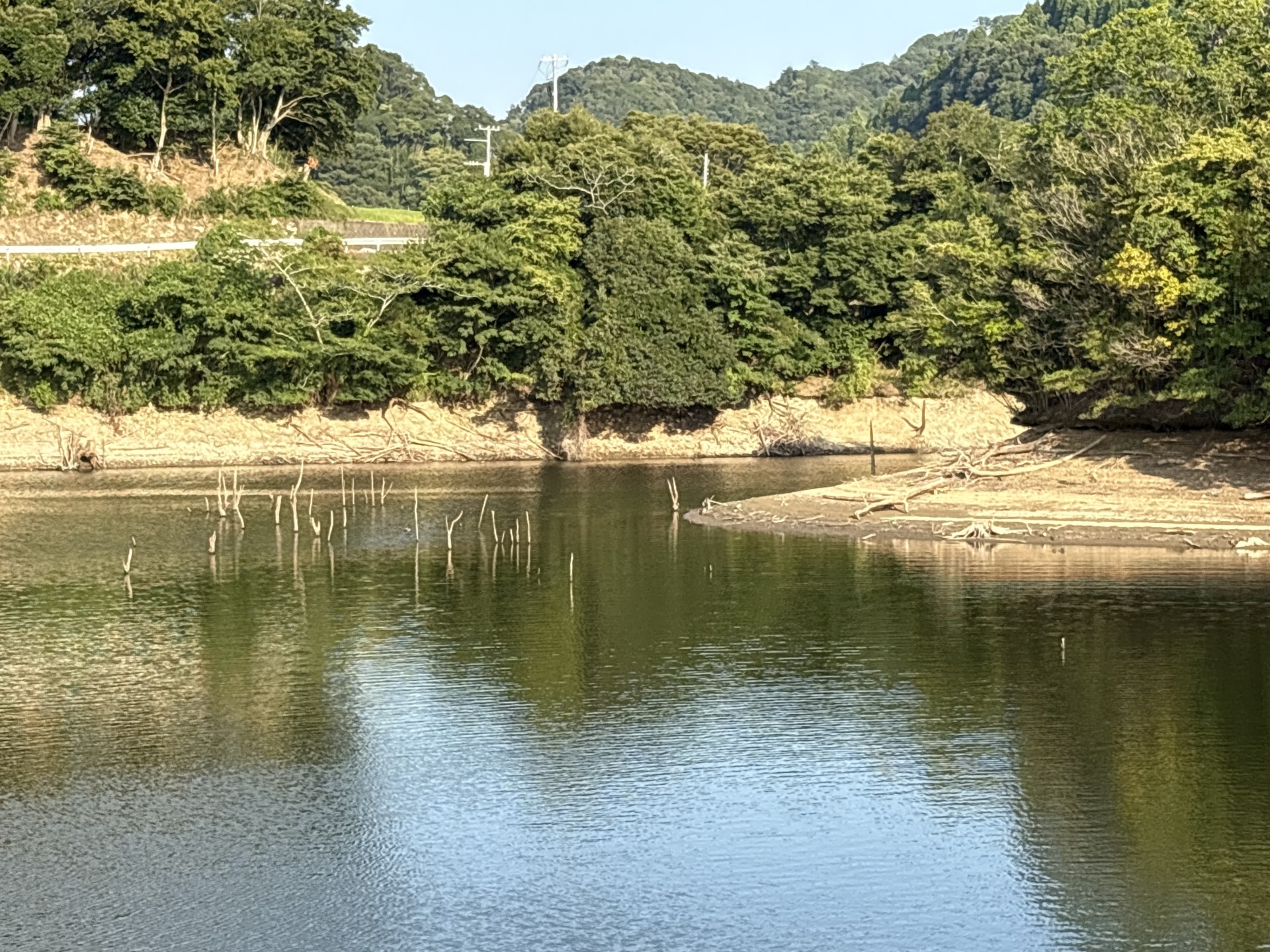 戸面原ダム 戸面原ダムボートセンターの2025年8月18日のイメージ