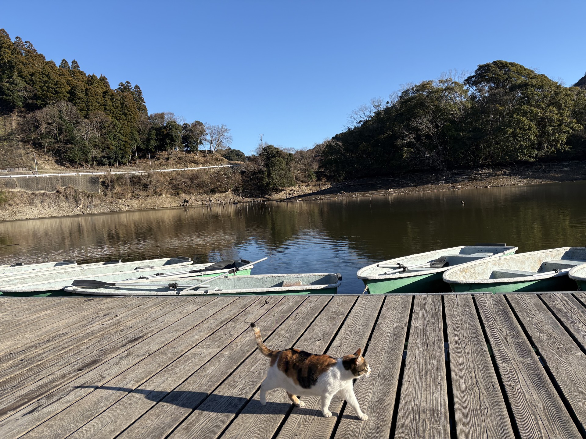 戸面原ダム 戸面原ダムボートセンターの2026年1月12日のイメージ