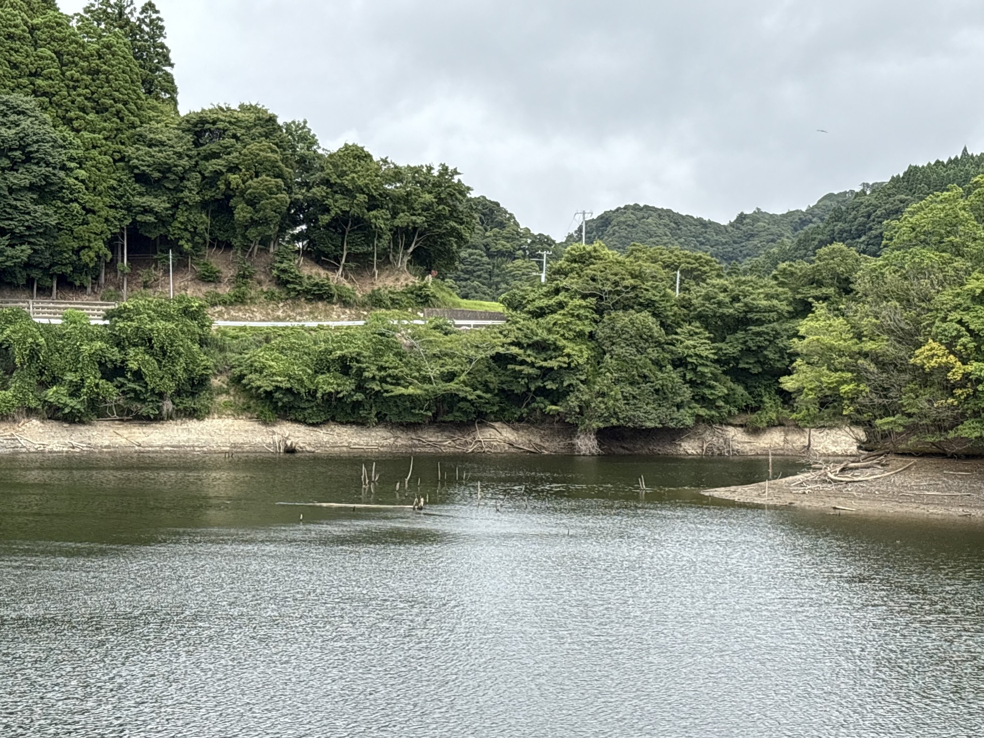 戸面原ダム 戸面原ダムボートセンターの2025年7月13日のイメージ