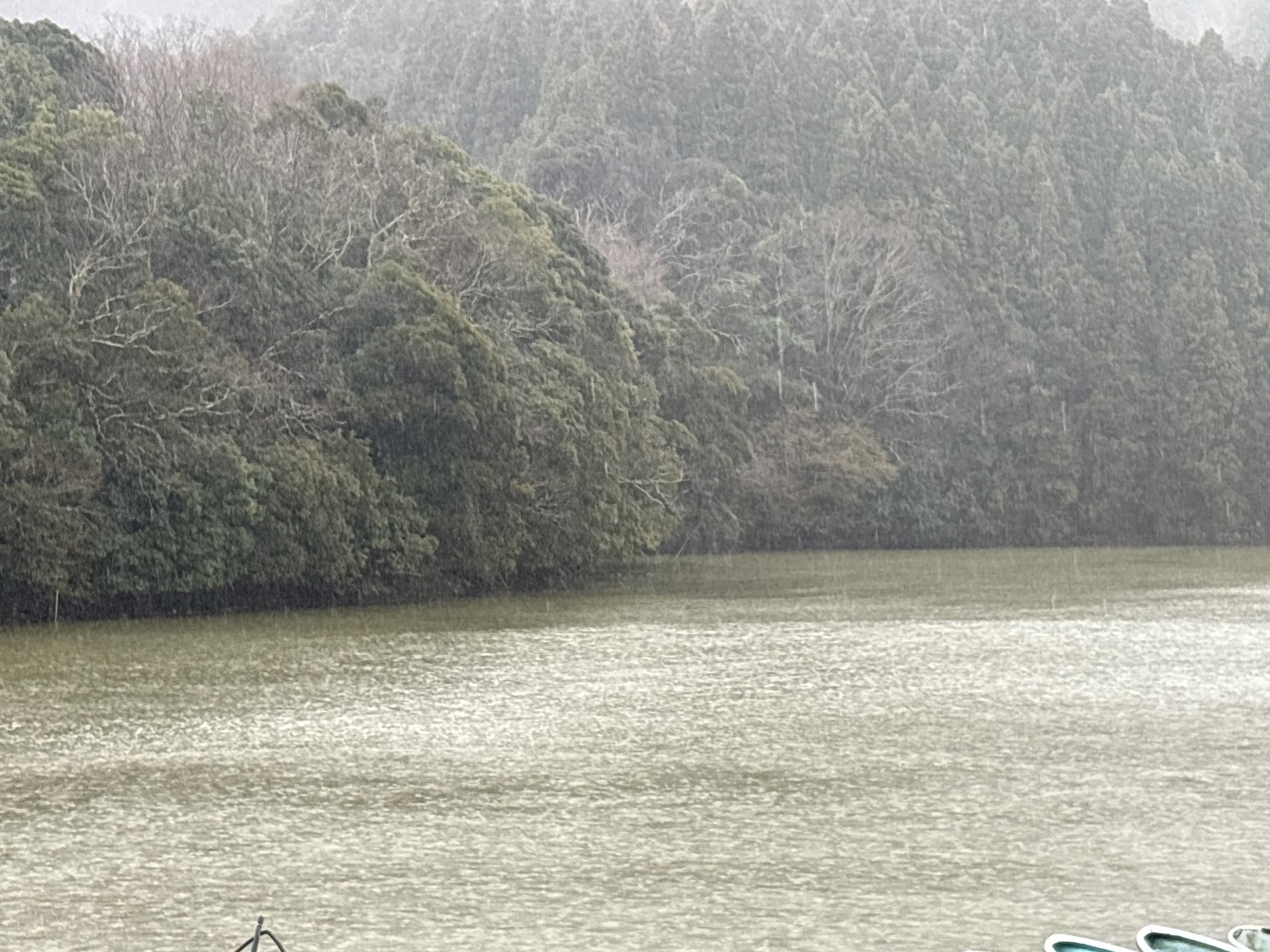 戸面原ダム 戸面原ダムボートセンターの2026年3月3日のイメージ