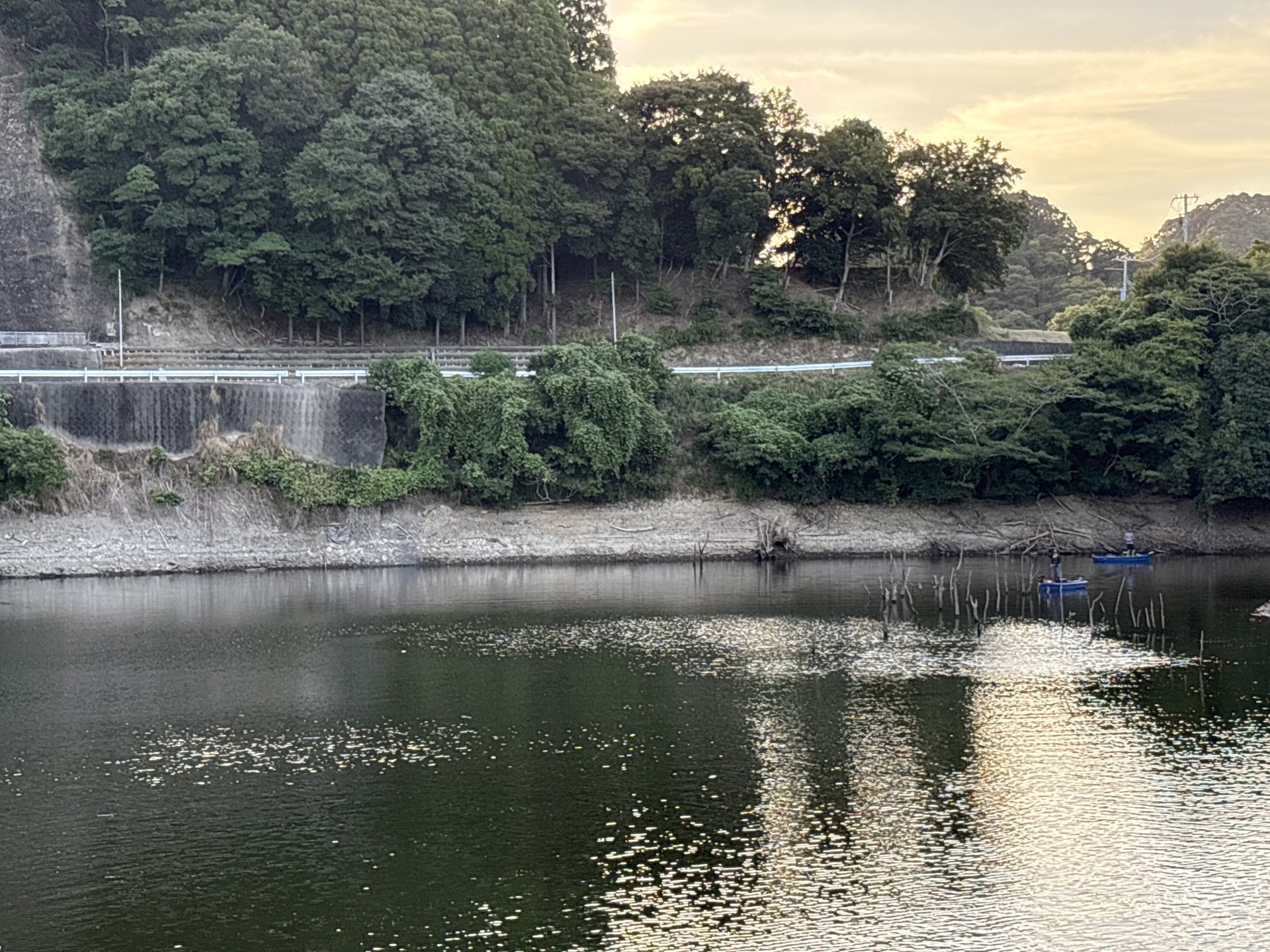 戸面原ダム 戸面原ダムボートセンターの2025年8月23日のイメージ