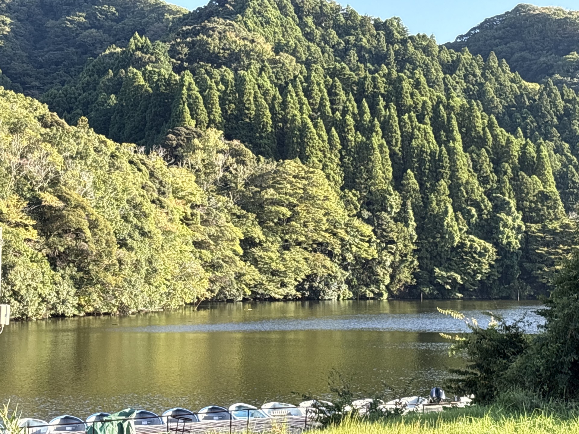 戸面原ダム 戸面原ダムボートセンターの2025年9月24日のイメージ